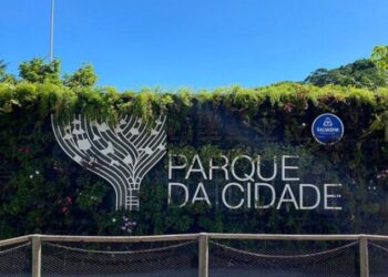 Adolescente atropelado no Parque da Cidade recebe alta; motorista é liberado