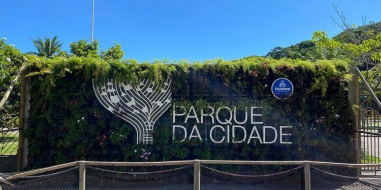 Adolescente atropelado no Parque da Cidade recebe alta; motorista é liberado