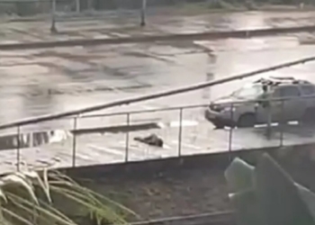 Corpo de homem é encontrado na 29 de Março, em Salvador