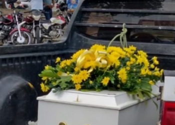 Cão querido por moradores é enterrado sob cortejo fúnebre em Cruz das Almas