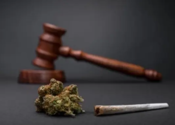 Contrária à descriminalização, Conamp teme aumento de crimes de tráfico com liberação do porte de drogas