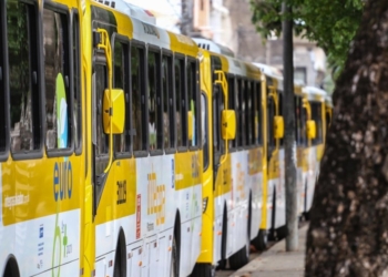 Após ativação da nova linha do BRT, ônibus passarão por adaptações