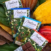 Marcas baianas levam cinco medalhas em premiação internacional do chocolate