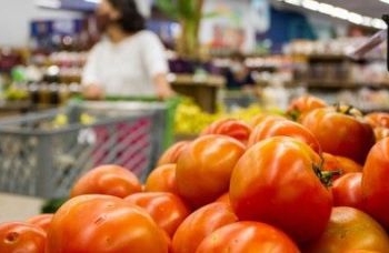 Governo da Bahia assina termo de adesão ao Plano Brasil Sem Fome