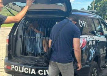 Tio e avô são presos por estuprar todas as crianças da família
