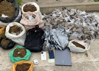 Drogas são apreendidas em três bairros de Salvador