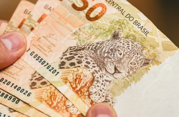 Serasa Experian explica como PMEs podem ajustar margem de lucro para o novo ano