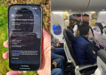Celular caído de avião que perdeu porta no ar é achado intacto e funcionando