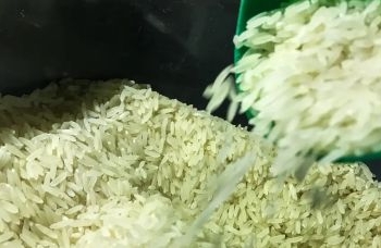 Conab compra 263,3 mil toneladas de arroz importado em leilão