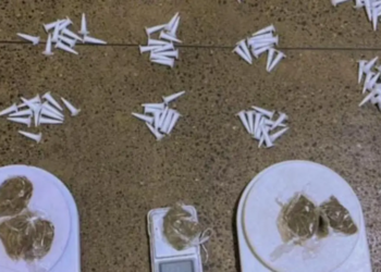 PM apreende cocaína e maconha em cidade do Baixo Sul baiano