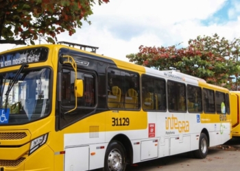 Ônibus voltam a circular na região da Barroquinha