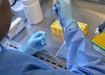 Nova variante do vírus Sars-CoV-2 é identificada em três estados