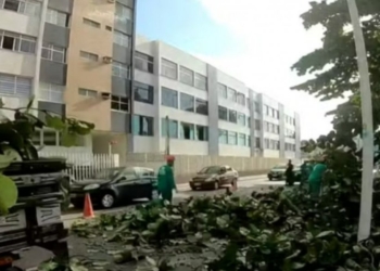 Duas faixas da Av. Oceânica ficam bloqueadas após queda de árvore nesta segunda-feira (16)