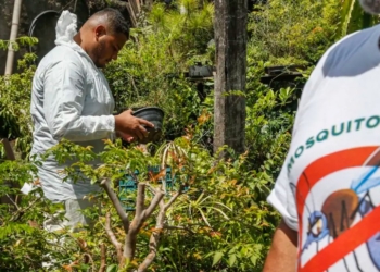 Brasil tem mais de 6 milhões de casos prováveis de dengue em 2024