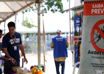 Casos de dengue no Brasil caem 60% nas primeiras semanas do ano