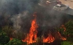 Incêndio de grandes proporções atinge área de mata na Avenida Paralela na tarde desta quinta-feira (13)