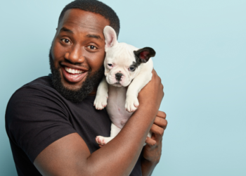 Geração pais de pet! Jovens preferem animais de estimação a filhos, diz pesquisa