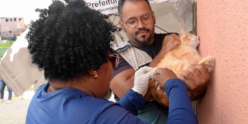 Prefeitura de Salvador intensifica vacinação antirrábica neste fim de semana