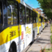 Prefeitura amplia viagens em 16 linhas de ônibus de Salvador