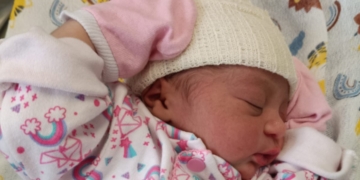 Rascunho automático