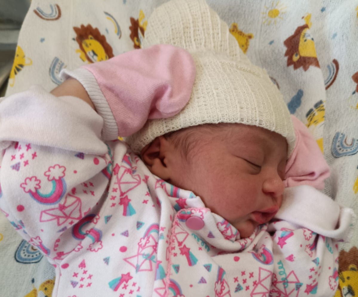 Rascunho automático