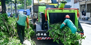 Salvador conta com primeira máquina trituradora de podas para reciclagem orgânica