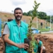 Salvador ganha primeira microfloresta urbana com mais de 1 mil mudas plantadas entre as avenidas Gal Costa e Jayme Figura