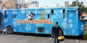 Salvador amplia proteção animal com terceiro Castramóvel e reforça oferta