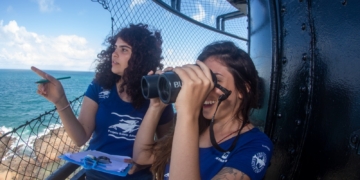 Temporada de observação de baleias jubarte começa nesta quarta (15) em Salvador com ponto no Farol da Barra