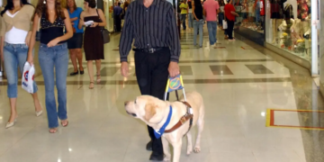 Salvador estabelece multa de até R$ 30 mil para quem impedir acesso de pessoas com cães de assistência